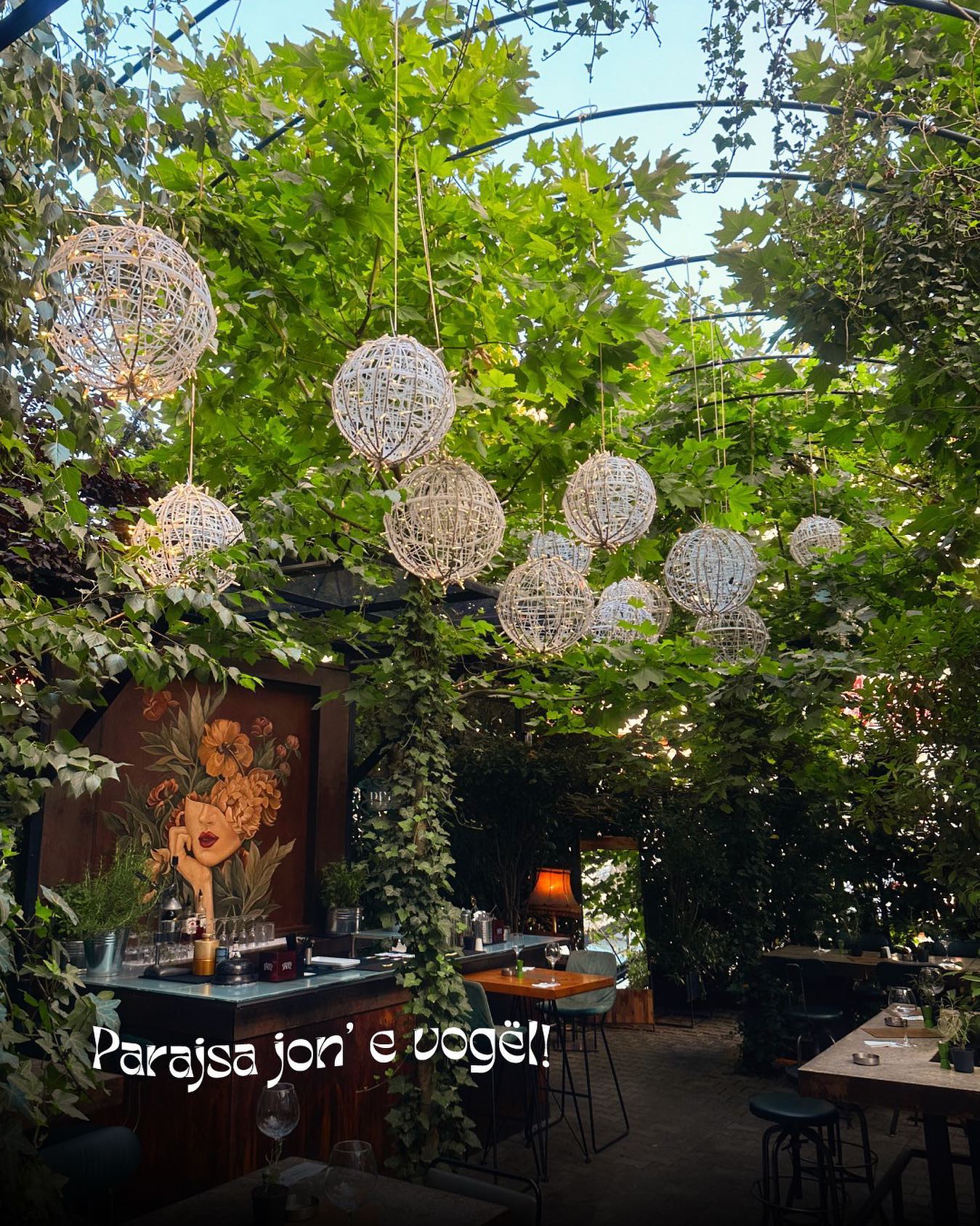 Outdoor canopy with lights